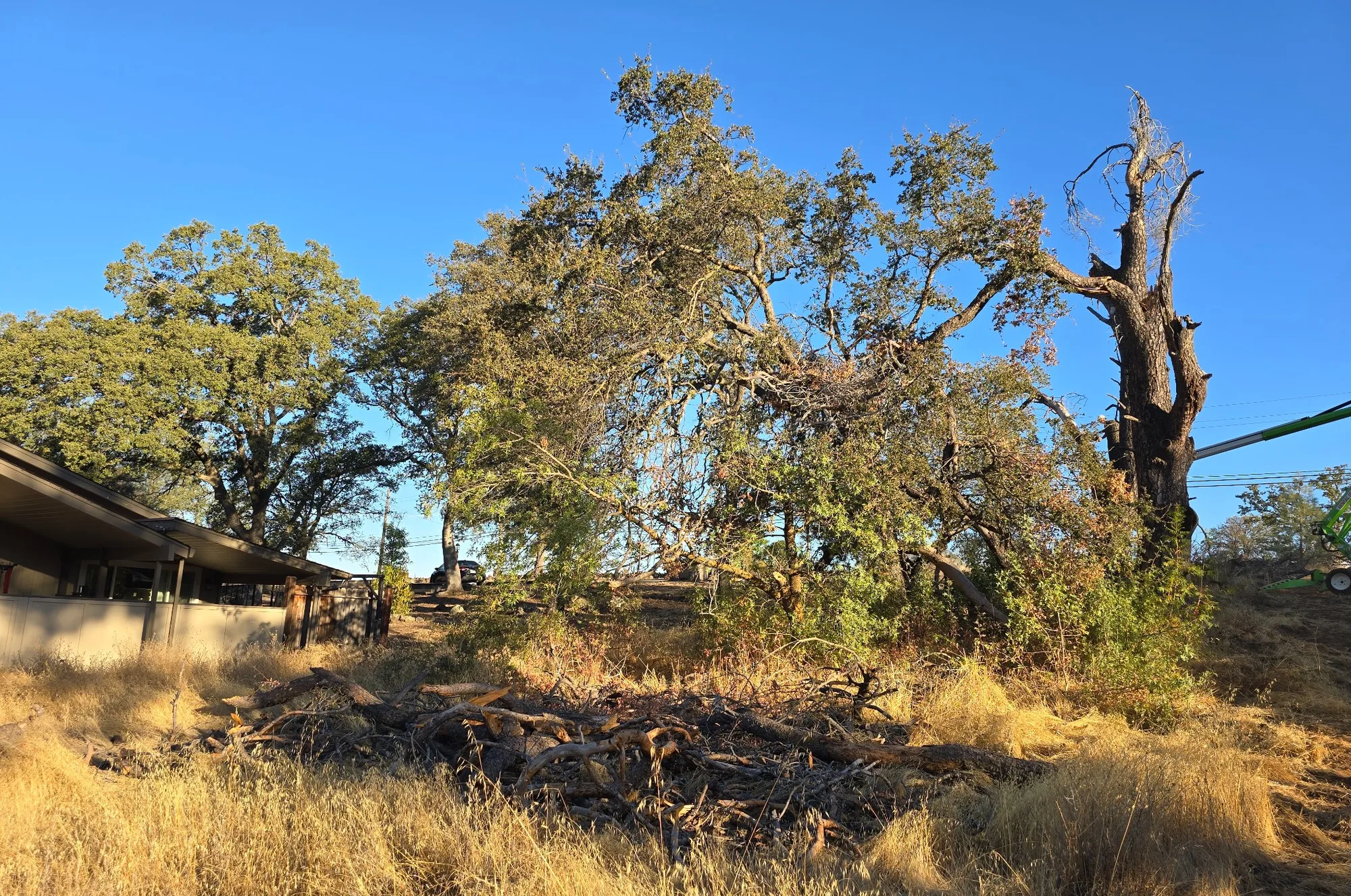 Property before RAWE vegetation and hazard work