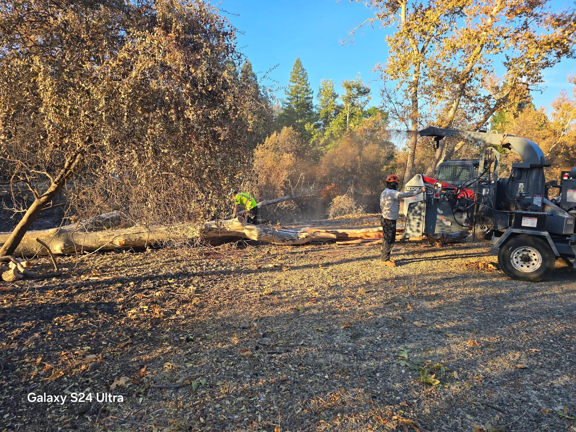 Chipping & Cleanup - real RAWE Vegetation Management project photo