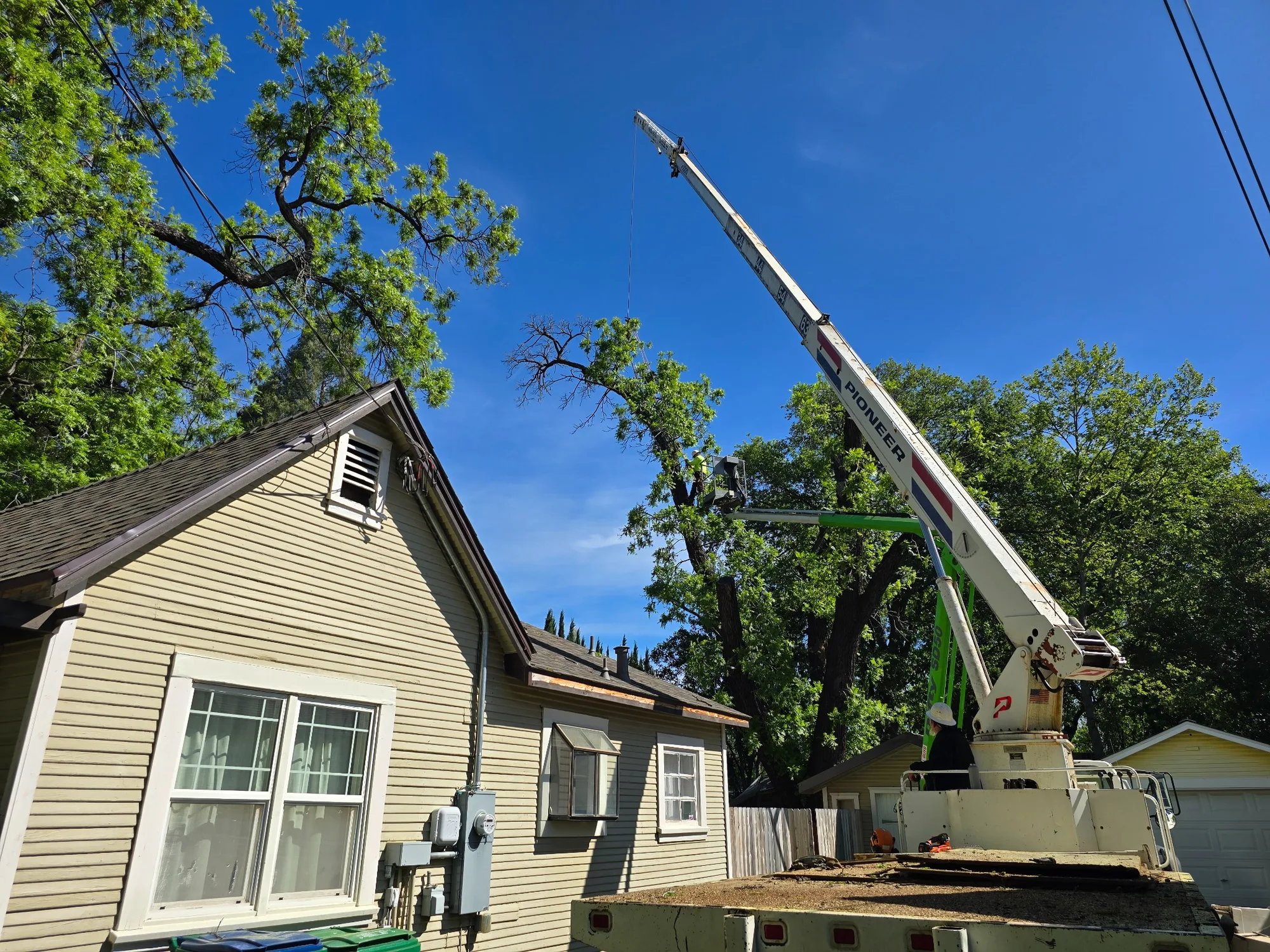 Technical Residential Removal - real RAWE Vegetation Management project photo