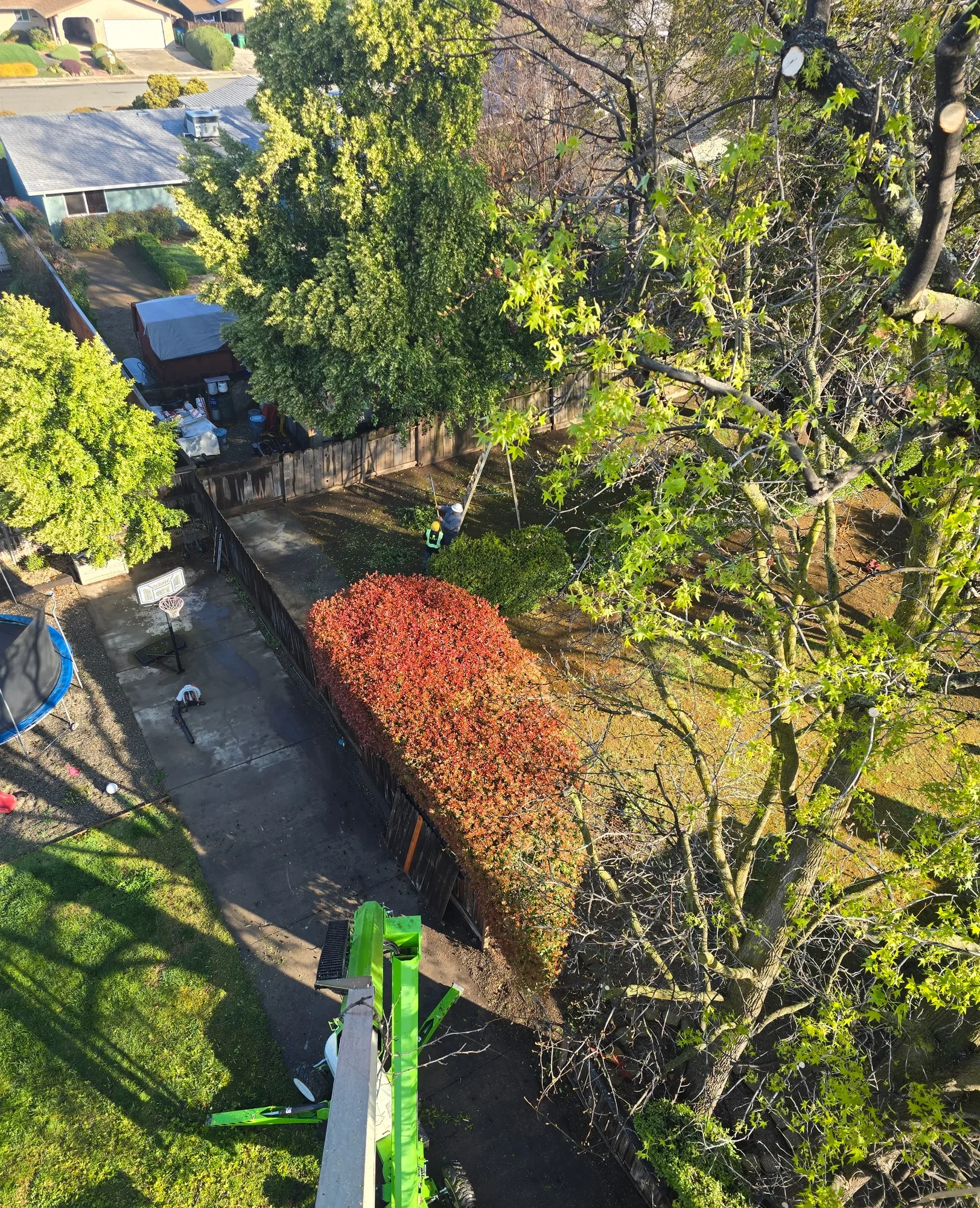 Crane + Lift Coordination - real RAWE Vegetation Management project photo