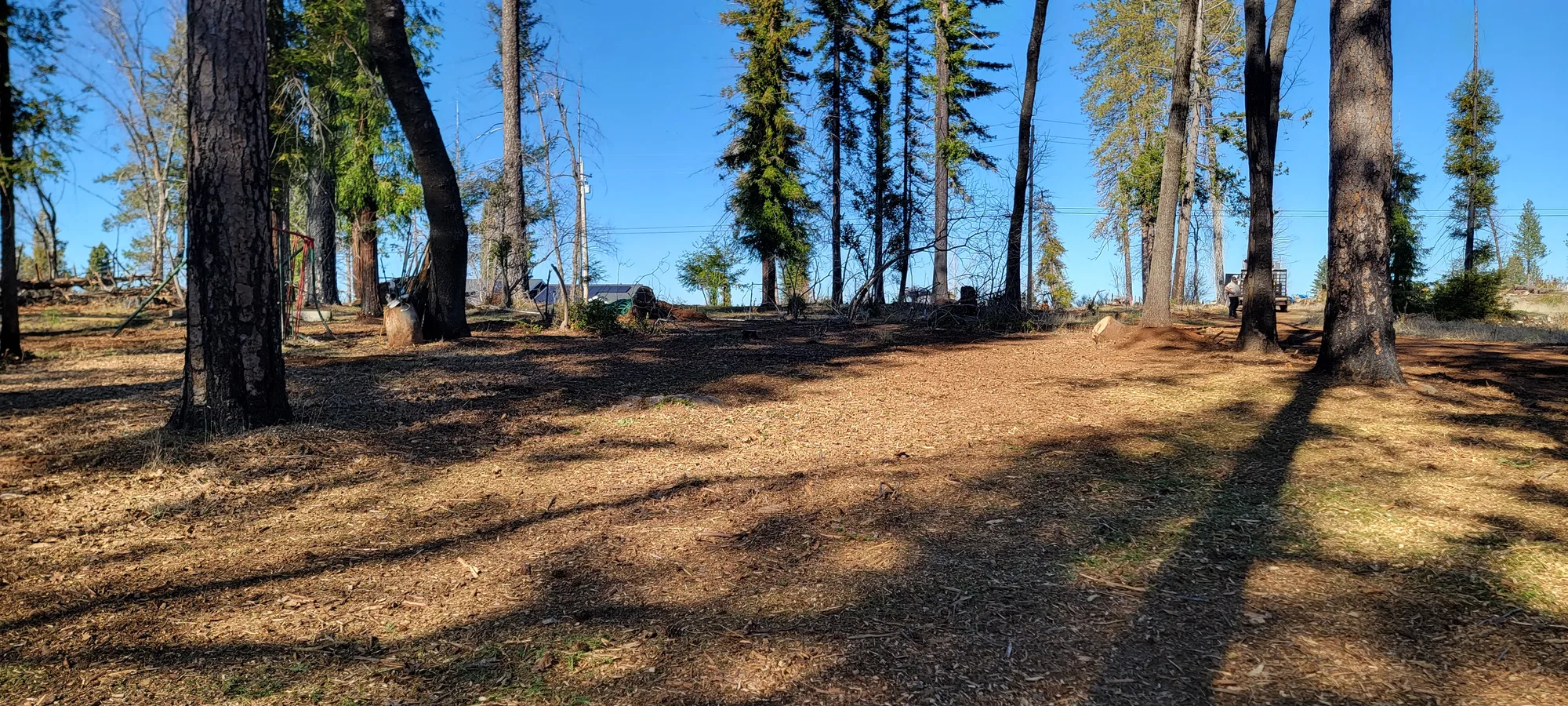 Fuel Reduction in Woodland - real RAWE Vegetation Management project photo