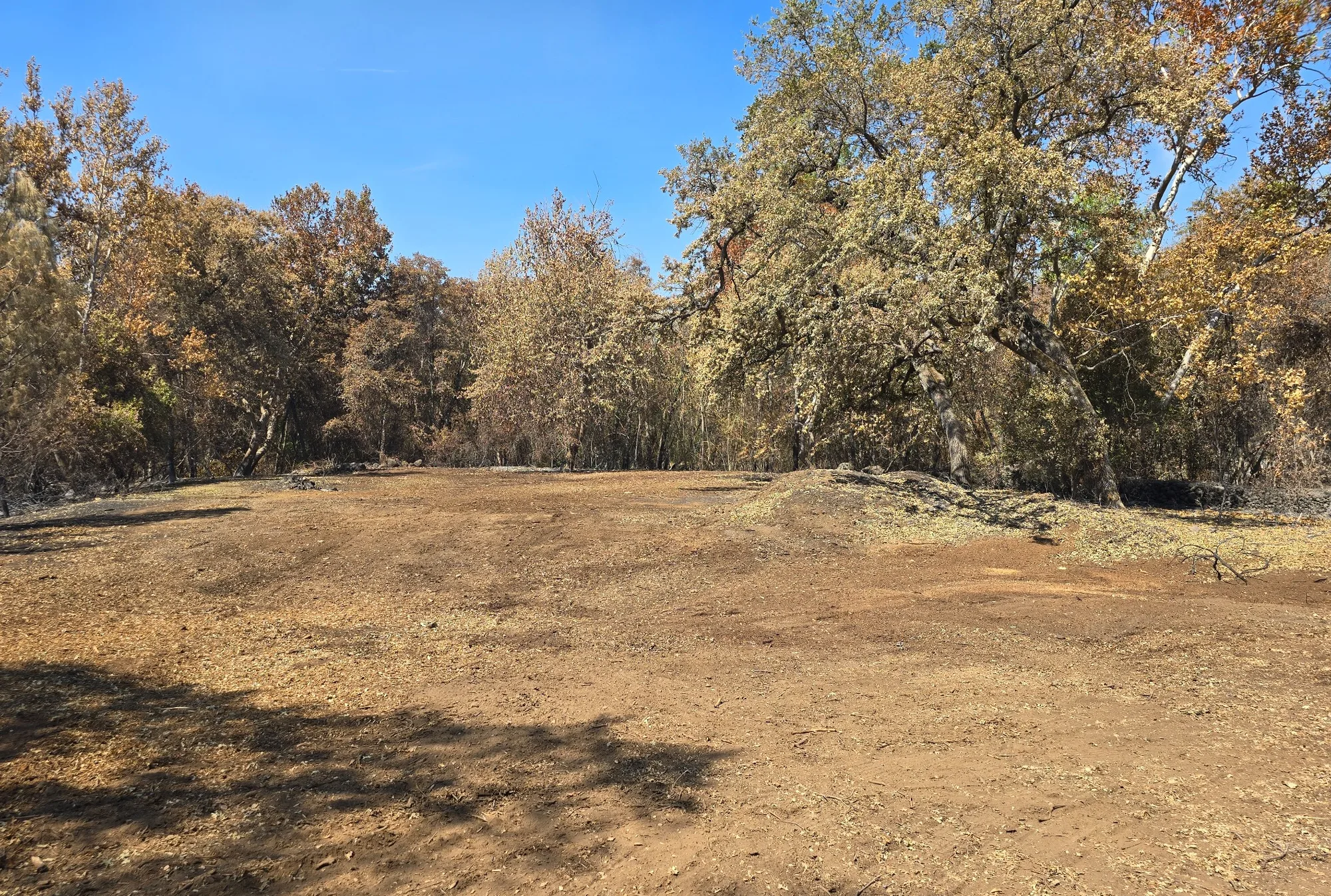 Land Clearing Finish - real RAWE Vegetation Management project photo
