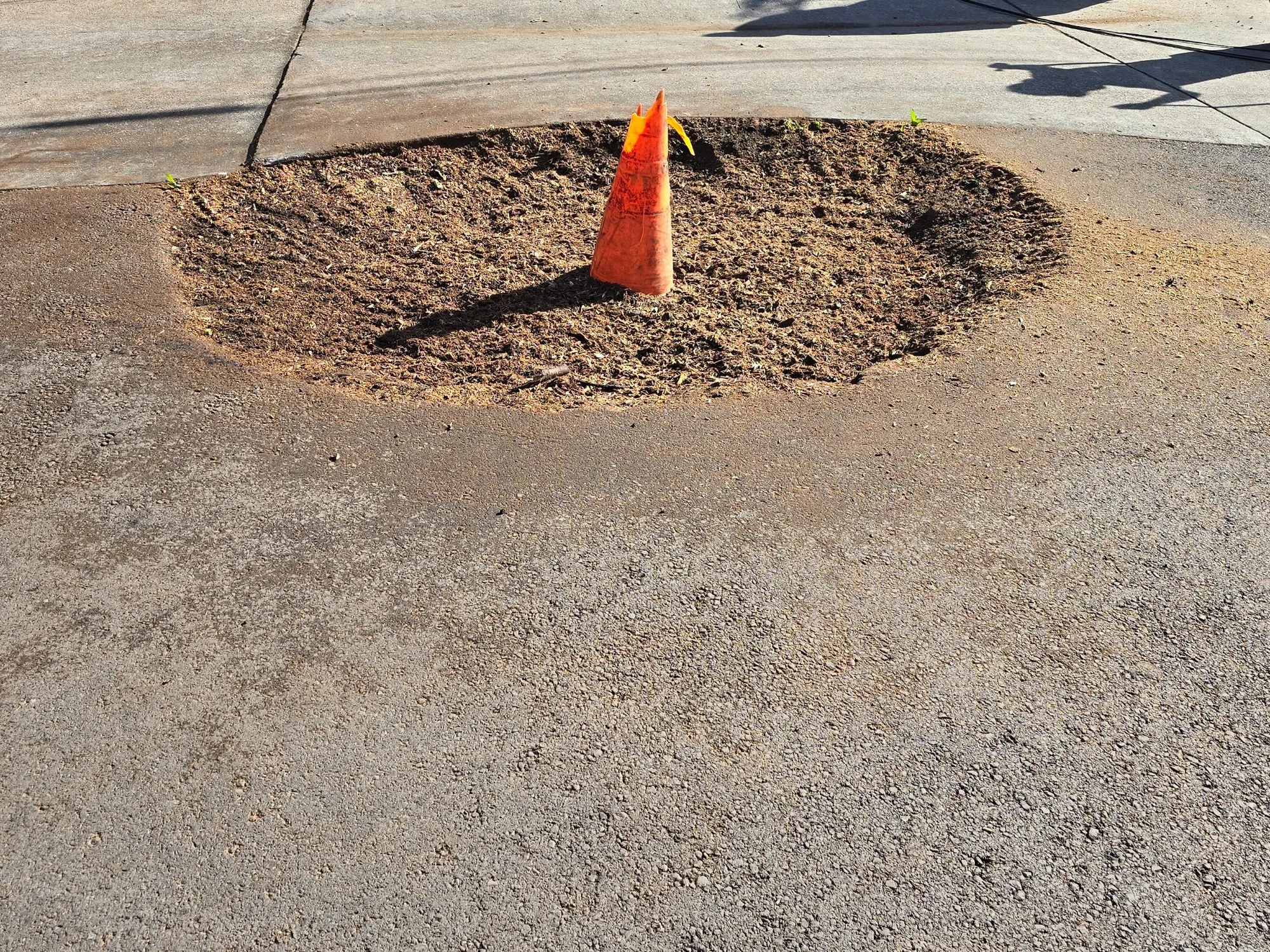 Stump Removal Finish - real RAWE Vegetation Management project photo