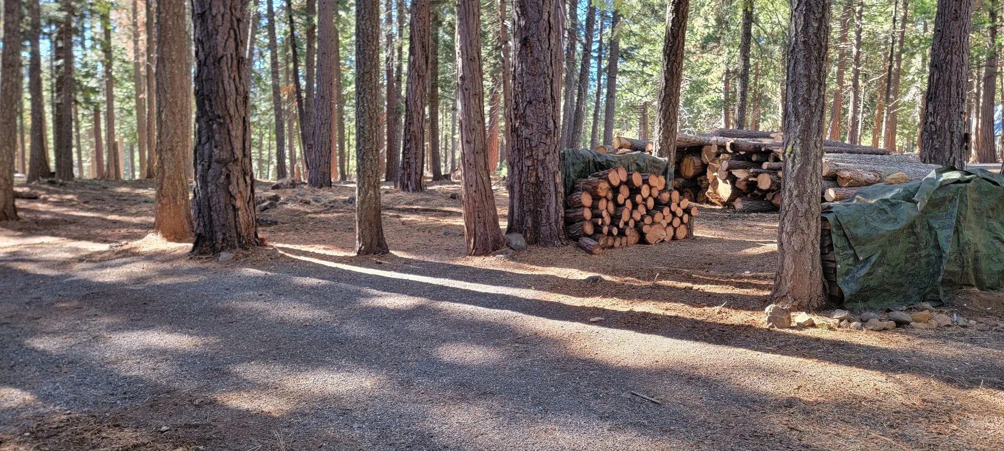Timber Staging & Cleanup - real RAWE Vegetation Management project photo